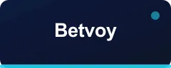 Betvoy logo